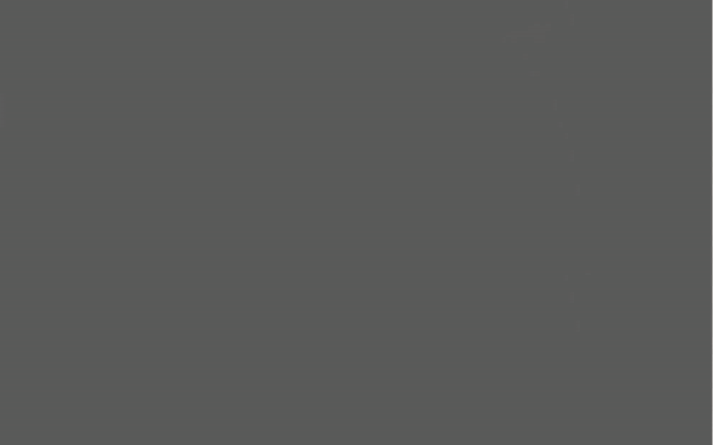 Premium Honed Slate Grey